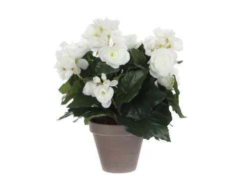 Kunstplant Mica Begonia wit in pot Stan grijs 25x30cm