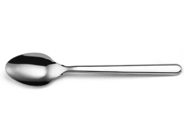 Leaves koffielepel uit inox, set van 20 stuks