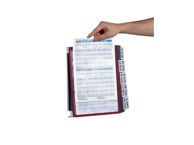 Wandelement Durable Vario Wall met 10-tassen A4 assorti