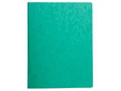 Map glanskarton met veer A4 groen