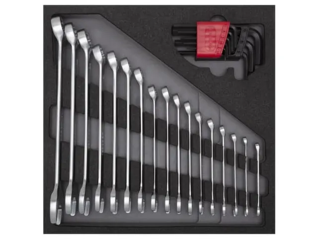 GEDORE RED R22250000 Combinatiesleutelset 4/6 CT module 26-delig