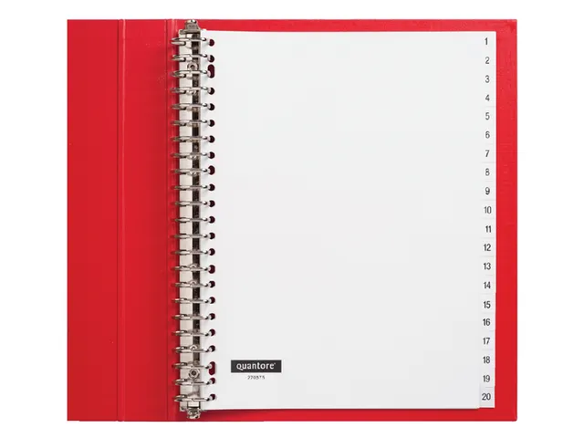 Tabbladen Quantore A4 23-Gaats 1-20 Genummerd Wit Pp