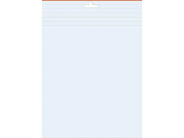 PK 100 verpakkingszakje PE 98x148mm