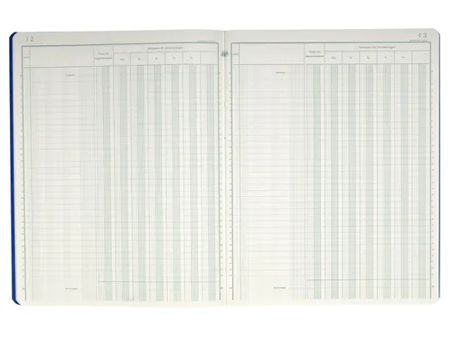 Register Piqure dagontvangsten 320x250mm 80vel assorti
