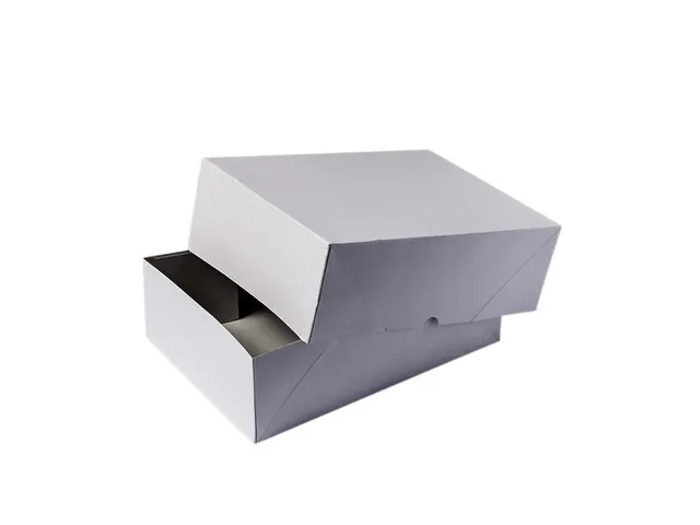 Boîte télescopique IEZZY A4 305x215x50mm pour 500 feuilles blanc