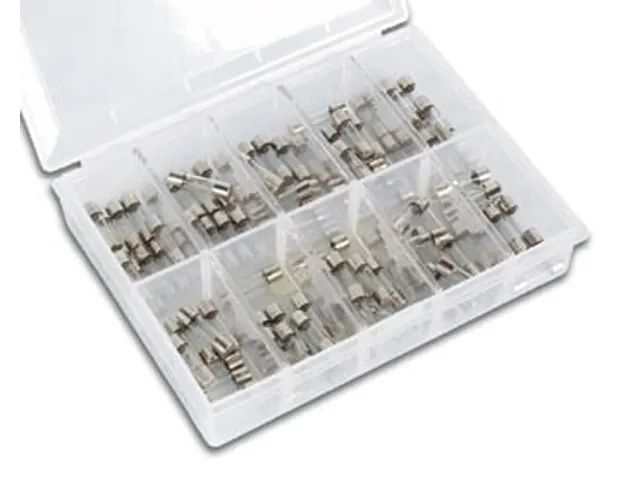 SET Snelle Zekeringen 5x20mm 100 stuks