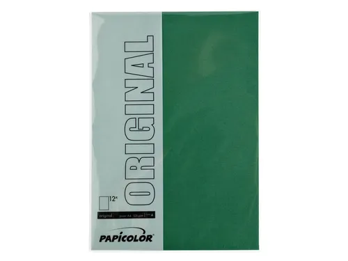 Kopieerpapier Papicolor A4 100gr 12 vel dennengroen