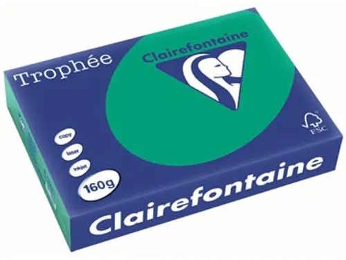 Trophée Intens gekleurd papier A4 160 gram 250vel Dennengroen