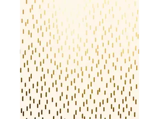Apparaatrol Special Wrap 100mx30cm crème met goud - 2