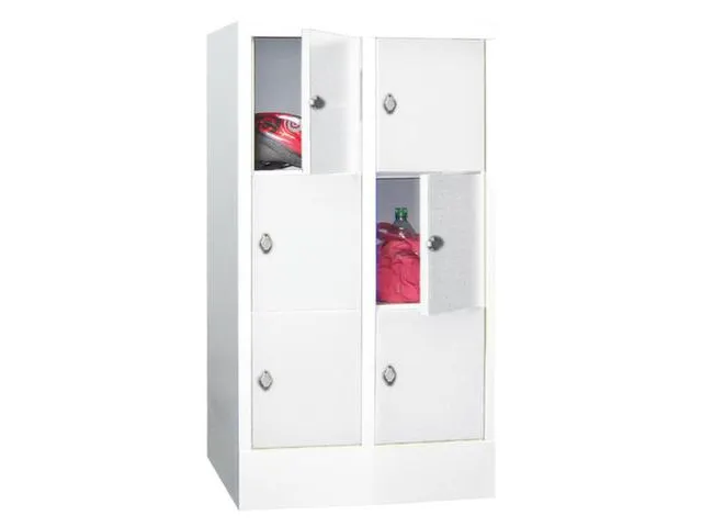 lockerkast,HxBxD 1187x600x500mm,2x3vakken,RAL7035,front RAL5010