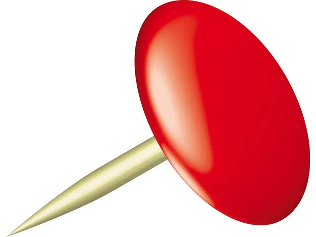 Punaises Alco plastif. rouge boîte de 100