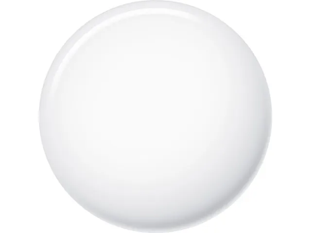 Apple AirTag Tracker Wit Zilver Bluetooth 1 stuk