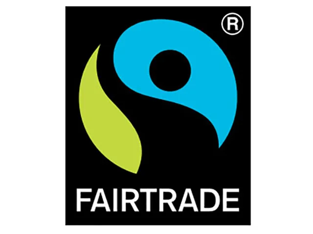 Puro groen thee Gember Citroengras Fairtrade 25 zakjes