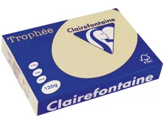 Trophée Pastel gekleurd papier A4 120 gram 250vel Chamois