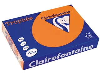 Trophée Pastel gekleurd papier A4 120 gram 250vel Oranje - 1