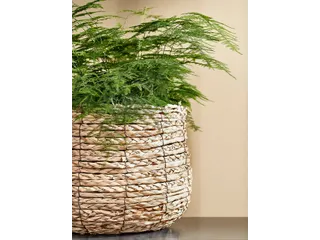 Plantenmand Mica Avalon zeegras rond lichtbruin 26x26cm - 5