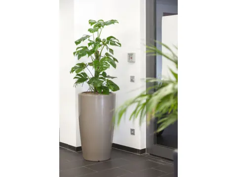 plantenzuil,rond,PE,beigegrijs,HxØ 1100x620mm,80l