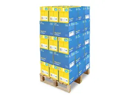 Kopieerpapier Datacopy A4 80 Gram Wit Pallet