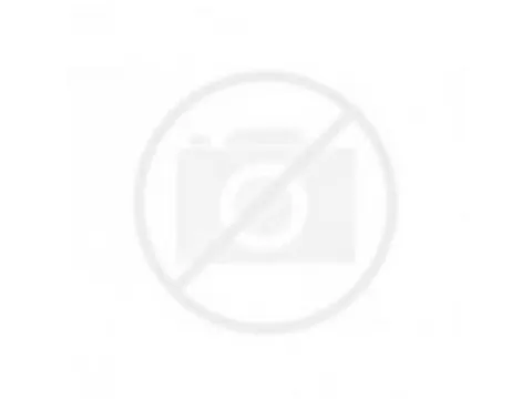 Kwast Qrea varkenshaar nr 6 6,8mm