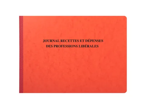 Piqûre 27x38cm - Journal des Recettes Dépenses des Professions libé