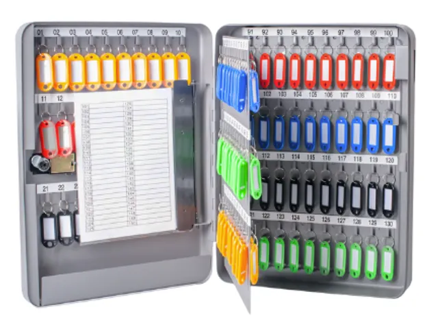Sleutelkast metaal Pavo basic met cijferslot 130 haken 37x28x8cm grijs
