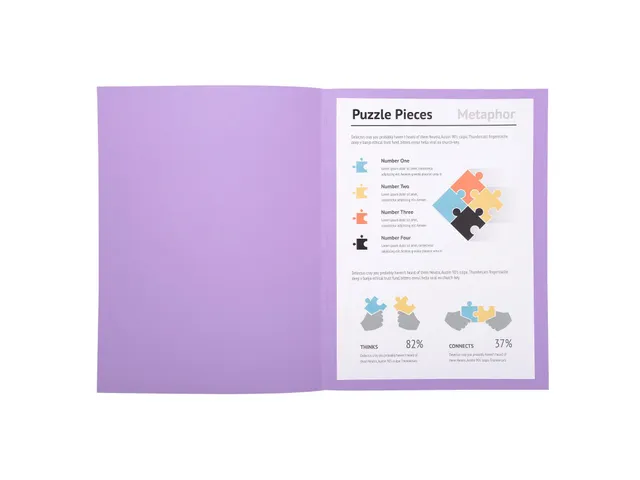 100 Dossiermappen Super 250 24x32cm Assorti