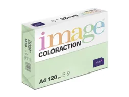 Kopieerpapier Forest Middelgroen A4 120 Gram 250 Vel