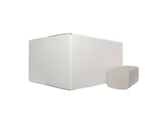 Handdoekpapier Z-vouw RW 2lgs 22x22 5cm Wit doos 20x200st