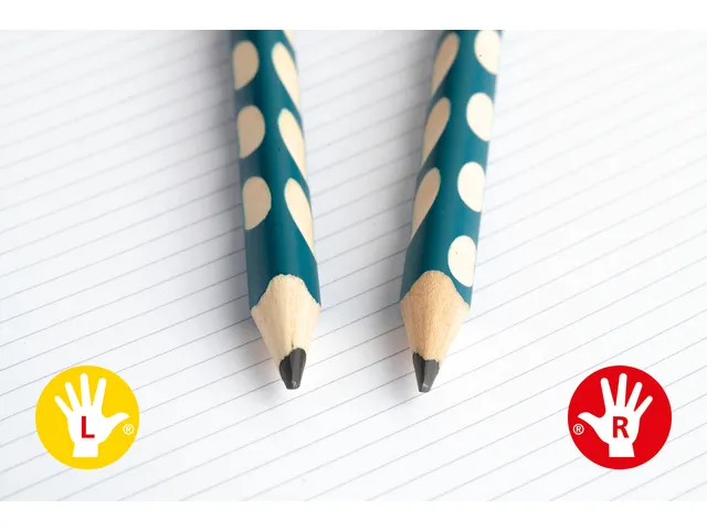 Potlood STABILO Easygraph grafiet 321 HB classpack 48 stuks