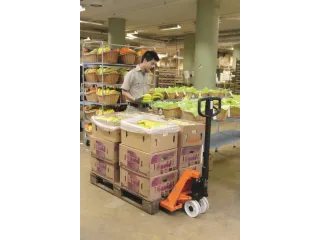 pallethefwagen,draagverm. 2300kg,vork L 800mm - 3
