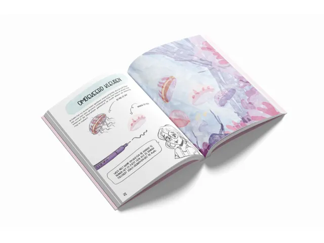 Het grote CreaChick Doeboek 2