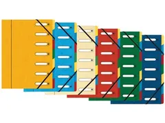 Sorteermap A4 7 Vakken karton Assorti