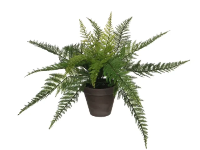 Kunstplant Mica Varen groen in pot Stan grijs 38x50cm