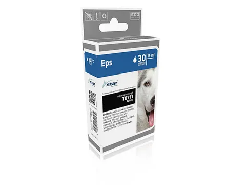 AS15711 ASTAR EPSON T0711 DX ink black