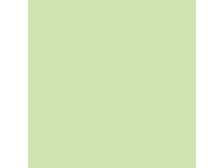 Inapa Tecno colors Gekleurd papier A4 midden groen 80 gram 500vel - 2