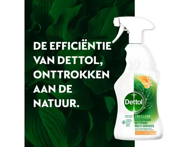 Nettoyant multi-surfaces Dettol TC Mandarine & Citron spray 500ml