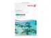 ColorPrint Papier A3 100 Gram Pak 500 Vel 003R95257