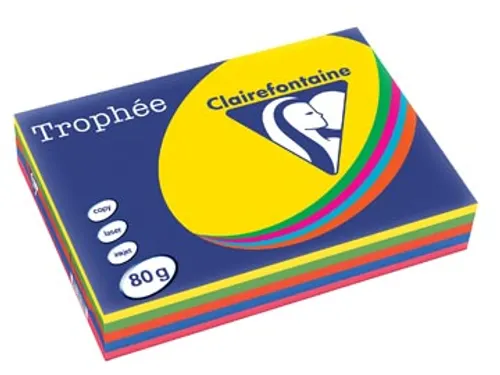 Trophée Intens gekleurd papier A4 80 gram 500vel Assorti