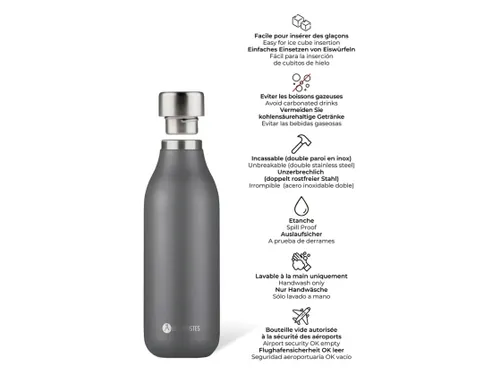 Thermosfles 2.0 Les Artistes Paris 500ml Grey