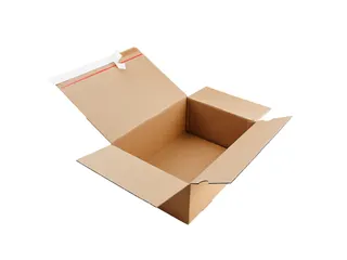 Postdoos Packfix Bruin Enkelgolf 305x215x140mm 20 Stuks - 1