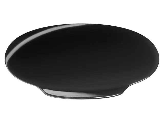 Tork Deksel voor Afvalbak 50 Liter Zwart