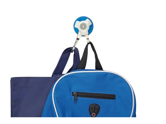 Magneet met dubbel carroussel