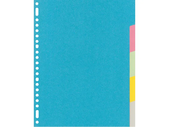 Tabbladen Kangaro A4 23-gaats RY405M 5-delig assorti karton