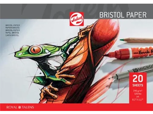 Bristol papier 250 g 21 x 29,7 cm A4 20 vel
