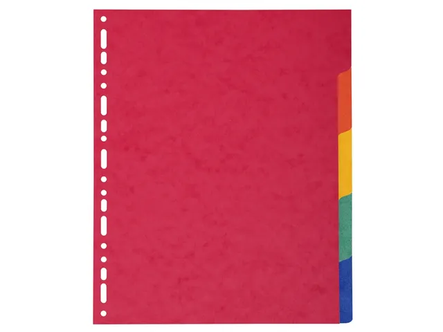 Tabbladen glanskarton 225g 5-delig A4 maxi Assorti