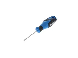 2163 Schroevendraaier TX T9 3C