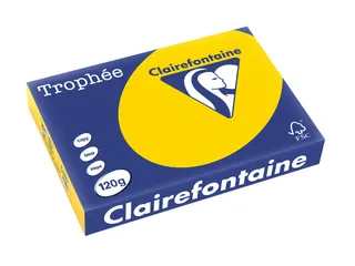 Trophée Pastel gekleurd papier A4 120 gram 250vel Goudgeel - 1
