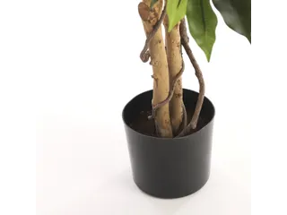Kunstplant Mica Ficus groen in pot 85x150cm - 9