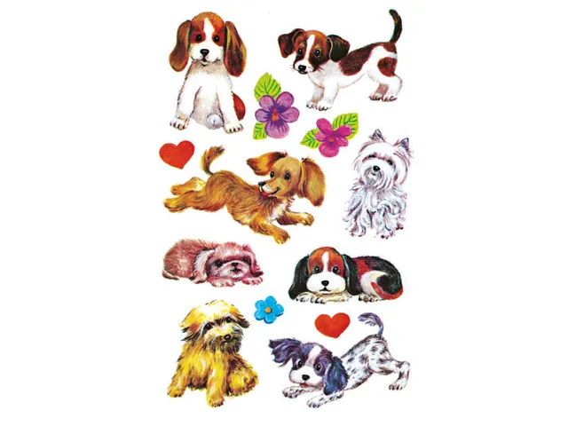 papieretiket Z-design Kids pakje a 3 vel honden