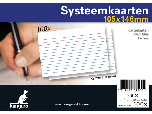 Systeemkaarten A6 105x148mm 100 stuks
